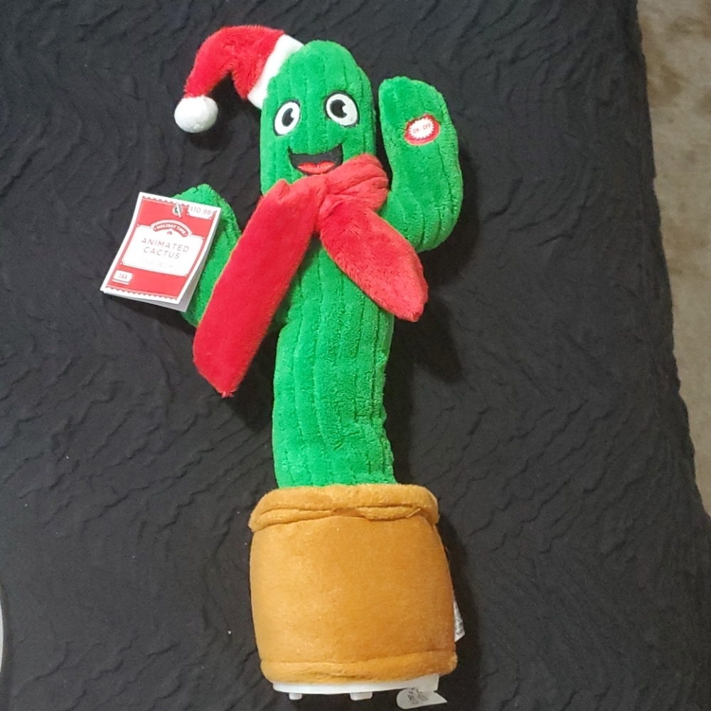 Dancing Cactus